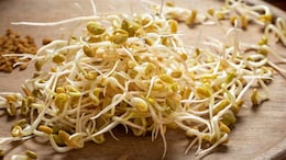Alfalfa Sprouts Linked To Food Poisoning Illnesses In Minnesota And Wisconsin
