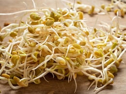 Alfalfa Sprouts Linked To Food Poisoning Illnesses In Minnesota And Wisconsin