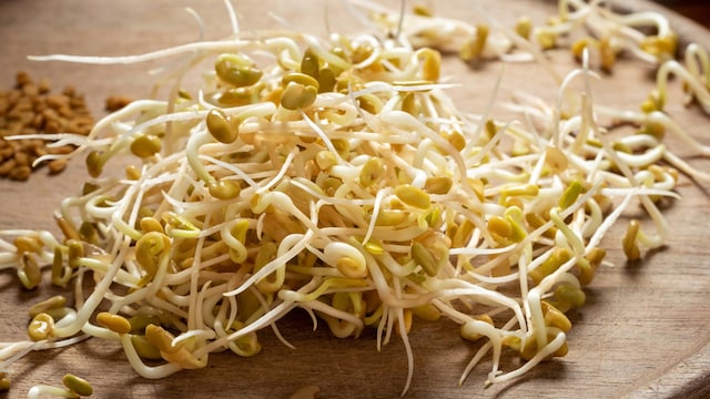 Alfalfa Sprouts Linked To Food Poisoning Illnesses In Minnesota And Wisconsin