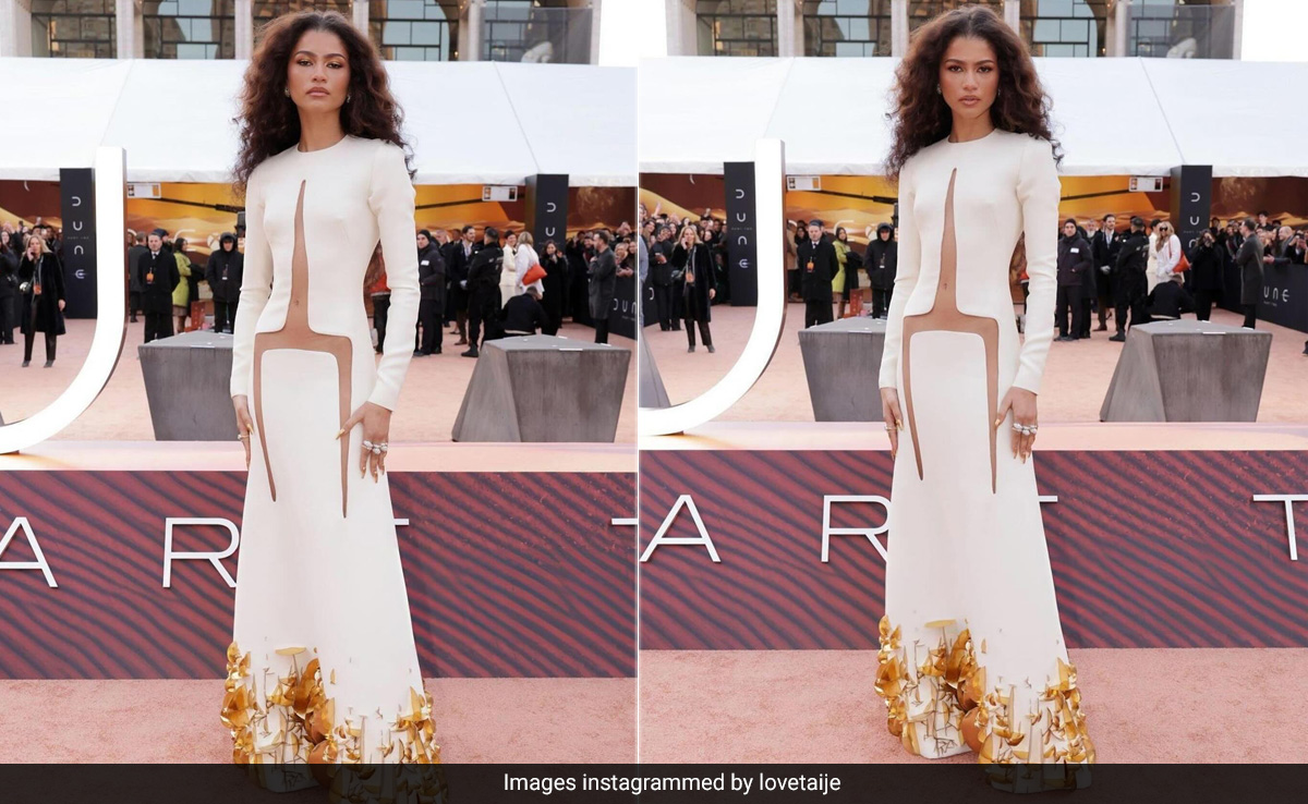 It's Raining Fashion In New York And Zendaya's Risque Stephane Rolland Cutout Dress Is The Reason Why