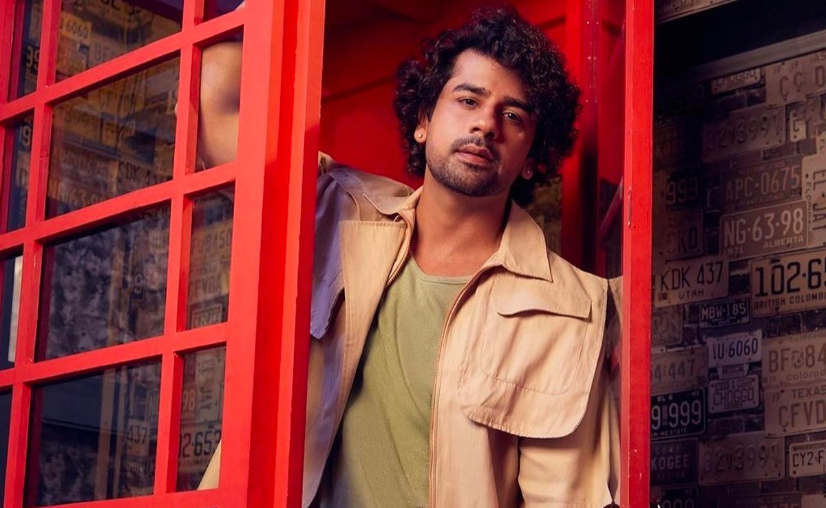 NDTV Interview : सीरियल अनुपमा के तोशू यानी आशीष मेहरोत्रा ने ऋतुराज सिंह के निधन पर कहा, ' उनके आने से बढ़ गई थी शो की TRP'