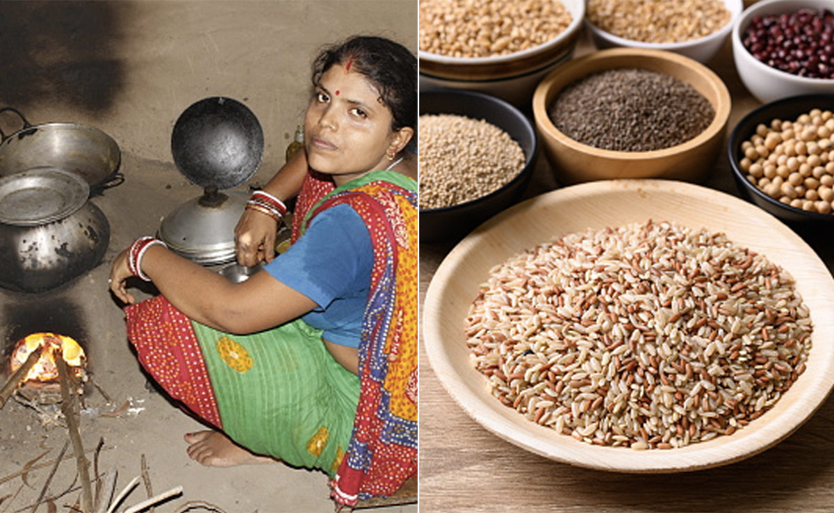 अलसी भात हैं Sharp Brain बिहारियों का फेवरेट फूड, जिसे खाकर लंबे-चौड़े और तेज दिमाग होते हैं बिहार के लोग, बनते हैं ISA, UPSC Topper, जानें रेसिपी