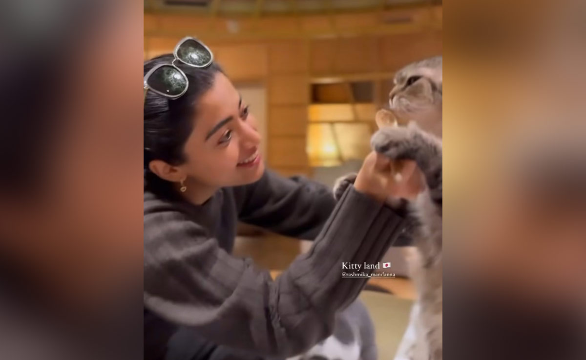 Apart From Rashmika Mandanna's Experience At Kitty Land In Japan, 5 Top Places To See In The Country