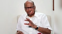 मविआला किती जागा मिळणार? शरद पवारांनी आकडाच सांगितला