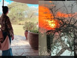 Ahead Of Crew Release, Kareena Kapoor Enjoys "The Serengeti Sun" With Family