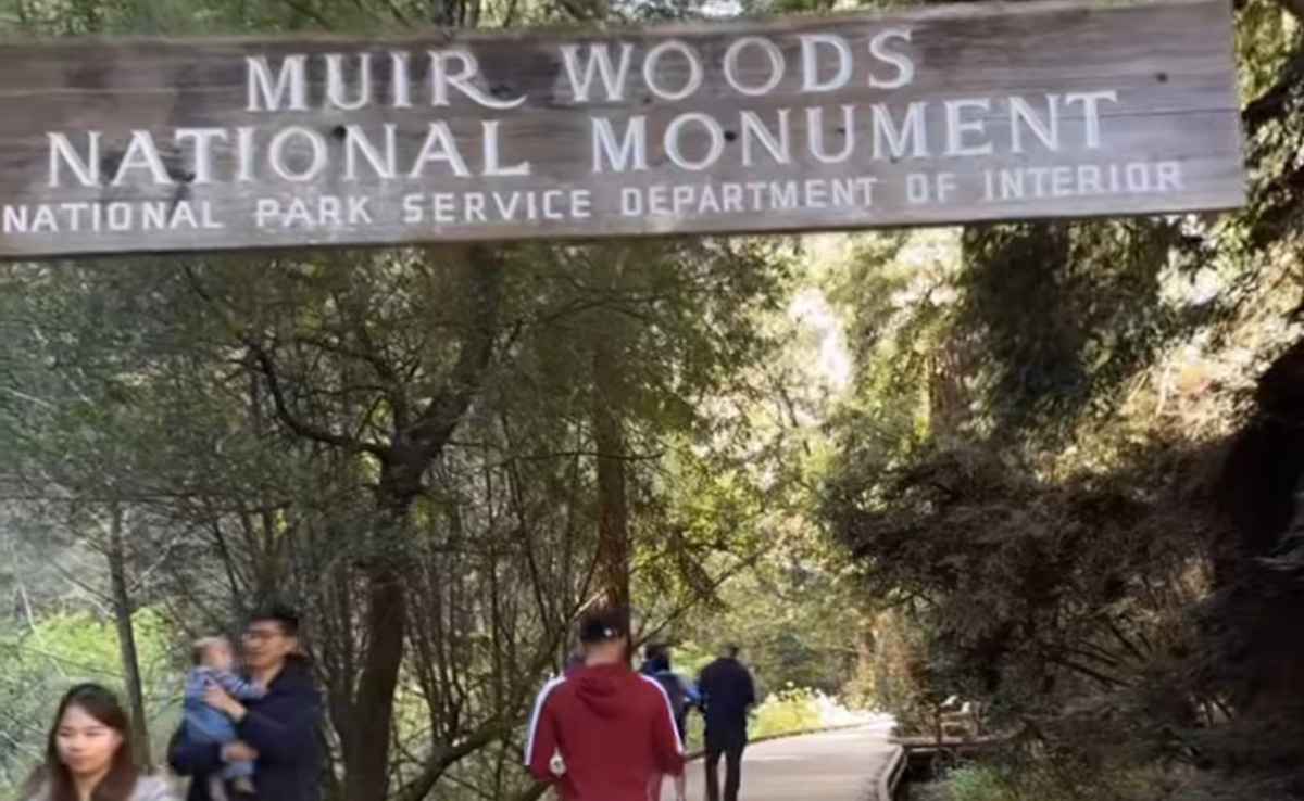 Inside Tejasswi Prakash's Muir Woods National Monument Visit; Things To Know Before You Go