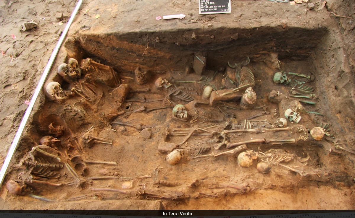 1,000 Black Death Victims Found In Mass Grave In Germany - Vimarsana News
