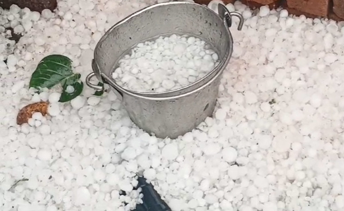 MP Weather Change: बेमौसम बारिश और ओलावृष्टि का कहर जारी, डिंडौरी-अनूपपुर में दिखा शिमला जैसा नजारा