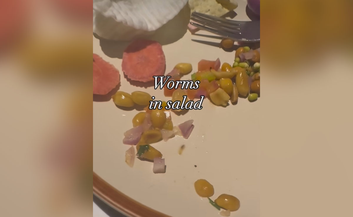 Watch: Instagram User Posts About Finding Worm In Salad, Video Is Viral