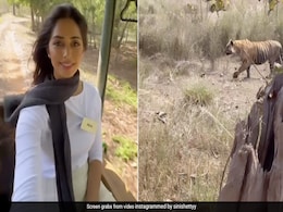 Inside Sini Shetty's "Paw-Some Day" At Tadoba Andhari Tiger Reserve With Miss England And Miss World South Africa Inside Sini Shetty's "Paw-Some Day" At Tadoba Andhari Tiger Reserve With Miss England And Miss World South Africa