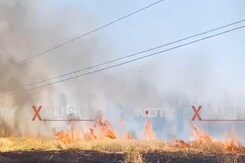 बैतूल में 6 एकड़ में खड़ी फसल जली, किसानों का लाखों का नुकसान बैतूल में 6 एकड़ में खड़ी फसल जली, किसानों का लाखों का नुकसान