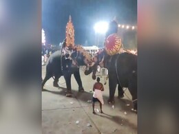 Video: Elephant Attacks Another Elephant At Kerala Temple Event, Many Injured Video: Elephant Attacks Another Elephant At Kerala Temple Event, Many Injured