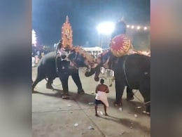 केरल में उत्सव के दौरान एक दूसरे पर टूटे पड़े हाथी, हाथियों का तांडव देख मची भगदड़ केरल में उत्सव के दौरान एक दूसरे पर टूटे पड़े हाथी, हाथियों का तांडव देख मची भगदड़