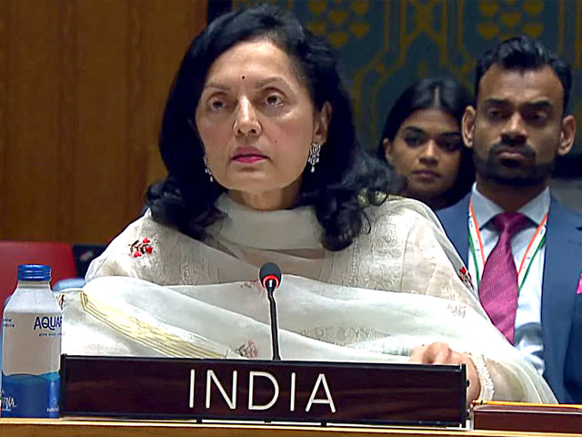 "Risk Oblivion If...": India's Stark Warning To UN Security Council