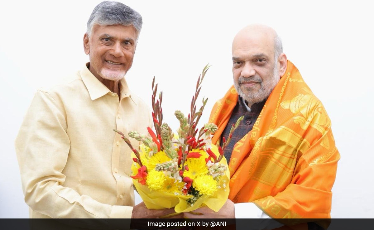 Loksabha Election 2024: भाजपनं आंध्र प्रदेशमध्ये 6 वर्षांनंतर तेलुगू देसमबरोबर युती का केली?