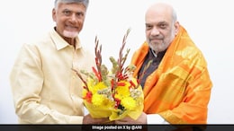 BJP, Chandrababu Naidu's TDP Finalise Seats For Lok Sabha, Andhra Polls