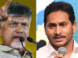 'Failed As Chief Minister, Brother': Chandrababu Naidu Attacks Jagan Reddy