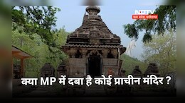 क्या MP के पन्ना में दबा है कोई मंदिर? जांच में ASI ने किए चौंकाने वाले खुलासे&nbsp;