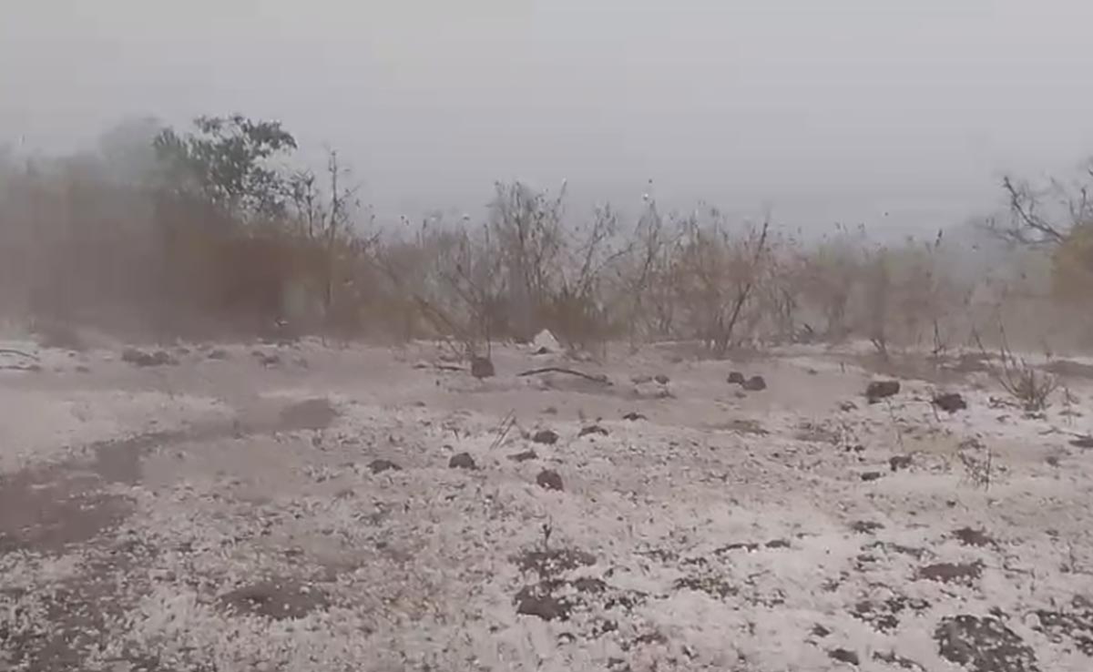 Chhattisgarh Weather: छत्तीसगढ़ में आसमान से बरसी आफत, खेतों में लगी फसलें चौपट होने से अन्नदाताओं के छलके आंसू