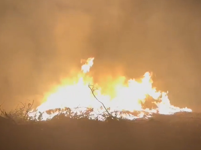 Video: Massive Fire At Dumping Site In Noida