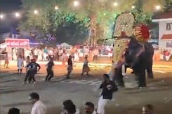 Elephant Attacks Another Jumbo At Crowded Temple Event In Kerala Elephant Attacks Another Jumbo At Crowded Temple Event In Kerala