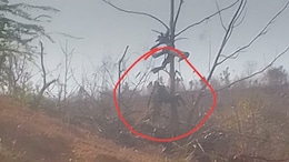पन्ना में क्यों नहीं थम रहा जानवरों का शिकार? अब फंदे में फंसने से हुई तेंदुए की मौत, देखिए तस्वीर