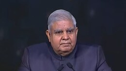 "Privileged Pedigree Has Disappeared": Vice President's Dig At Opposition