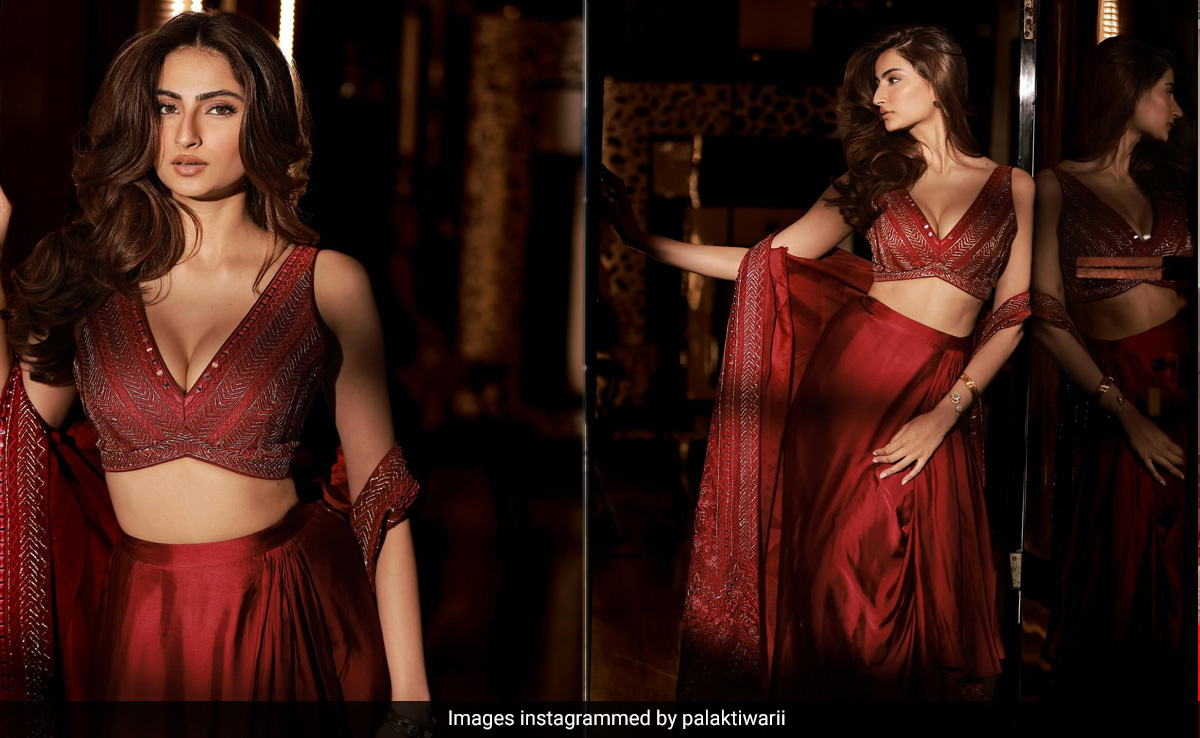 There's A Colour For Every Season But Palak Tiwari's Red <i>Lehenga</i> Is For Them All
