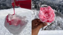Watch: Vlogger Makes "Rose <i>Gola"</i> Using Fresh Snow, Internet Reacts
