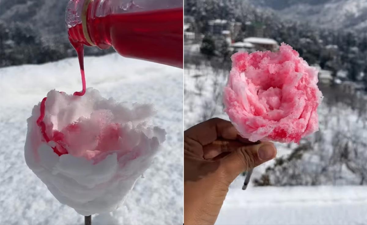 Viral Video: Vlogger Makes "Rose Gola" Using Fresh Snow, Internet Says