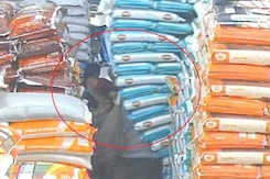 Video: Woman Gets Trapped After Grain Sacks Fall On Her, Then This Happened Video: Woman Gets Trapped After Grain Sacks Fall On Her, Then This Happened