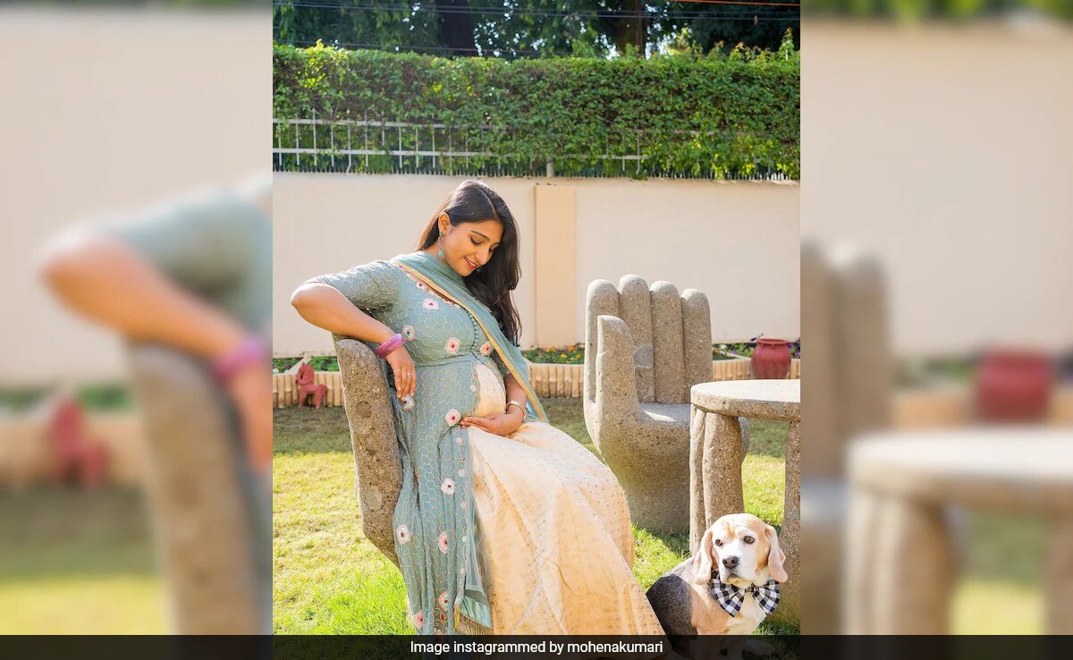 <i>Yeh Rishta Kya Kehlata Hai</i> Actress Mohena Kumari Announces Second Pregnancy. See Post