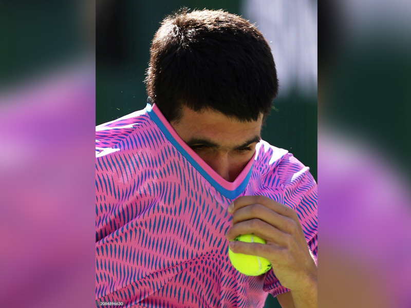 Carlos Alcaraz Stung On Forehead As Bee Invasion Hits Tennis Match - Video Goes Viral