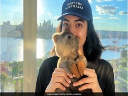 The Internet Thinks This Pic Of  Rashmika Mandanna Was Clicked By Vijay Deverakonda The Internet Thinks This Pic Of  Rashmika Mandanna Was Clicked By Vijay Deverakonda