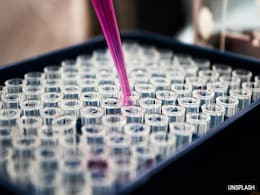 "Traumatised By This": DNA Tests Reveal Shocking Levels Of Incest In US "Traumatised By This": DNA Tests Reveal Shocking Levels Of Incest In US