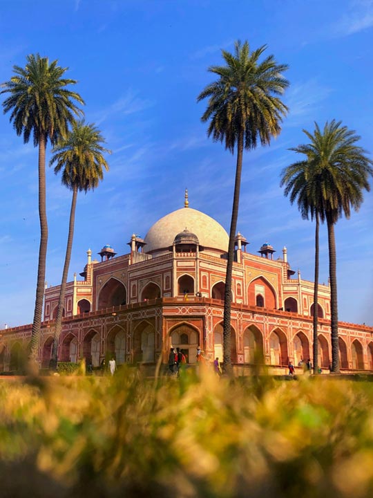 Heritage Site: Latest News, Photos, Videos on Heritage Site - NDTV.COM