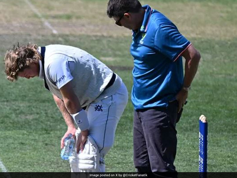 'Scary To Watch, Detrimental To Life': Australia Star Gets Hit Nastily On Head For 13th Time, Video Viral