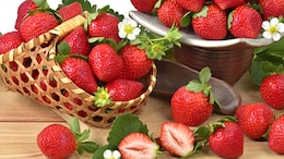 Food Trivia: Why Are Strawberries Considered Romantic?