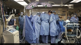 New Virus Discovered In China That Can Affect Brain