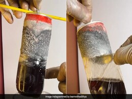 सॉफ्ट ड्रिंक के एल्युमिनियम वाले कैन में प्लास्टिक की परत देख यूजर्स हैरान, वायरल Video में ऐसा क्या है? सॉफ्ट ड्रिंक के एल्युमिनियम वाले कैन में प्लास्टिक की परत देख यूजर्स हैरान, वायरल Video में ऐसा क्या है?