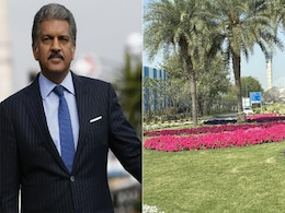आनंद महिंद्रा के दिल को भाया दिल्ली का National Rose Garden, फोटो शेयर कर कही दिल की बात आनंद महिंद्रा के दिल को भाया दिल्ली का National Rose Garden, फोटो शेयर कर कही दिल की बात