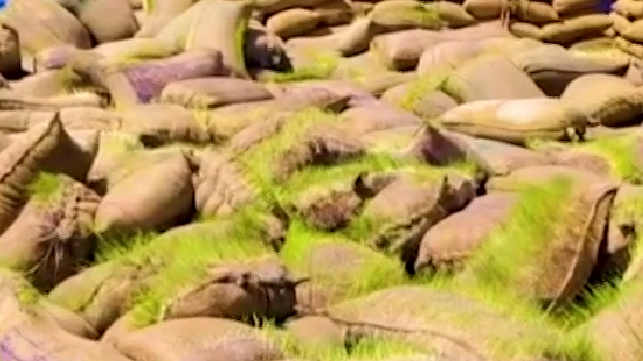 खराब मौसम में रखी गई धान की बोरियां, खरीदी केंन्द्र की कुव्यवस्थाओं पर उठे सवाल