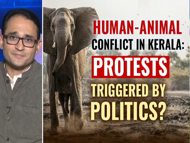 Human-Animal Conflict On The Rise In Kerala