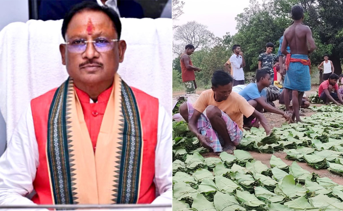 Chhattisgarh: सरकार ने बढ़ाई तेंदूपत्ता पारिश्रमिक राशि, अब इतने रुपये में तेंदूपत्ता खरीदेगी सरकार 