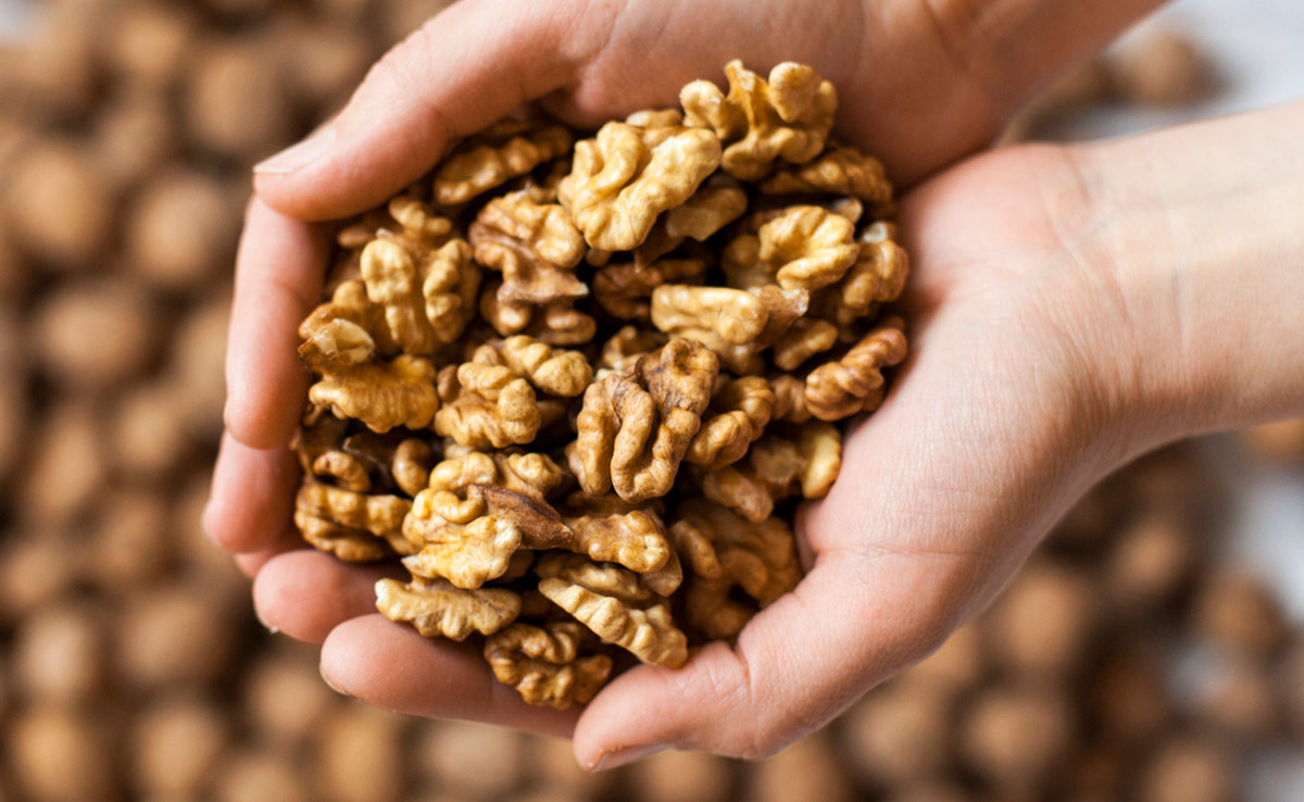 Walnuts Benefits: By incorporating them into your daily diet, you can enjoy a variety of health benefits