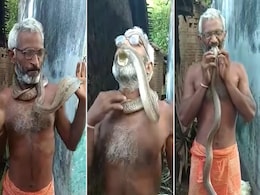 शख्स के गले में तौलिए सा लिपटा नजर आया फूंकार मारता किंग कोबरा सांप, घप से मुंह से दबोच लिए होठ शख्स के गले में तौलिए सा लिपटा नजर आया फूंकार मारता किंग कोबरा सांप, घप से मुंह से दबोच लिए होठ