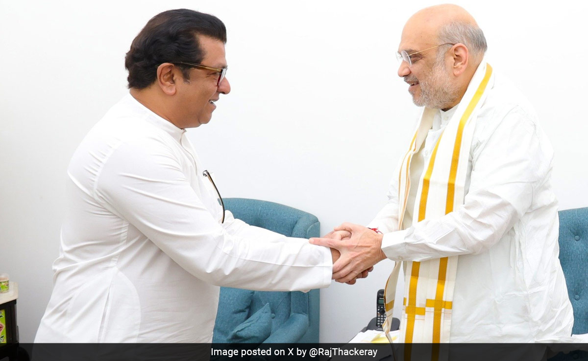 निशाना 48 सीटें या कुछ और... BJP को क्यों चाहिए राज ठाकरे? क्या शिंदे-अजित 'पावर' पर यकीन नहीं