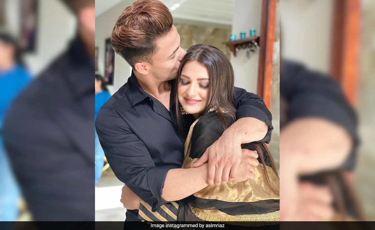 Asim Riaz Drops Cryptic Post About Having "No Partner" Months After His Breakup With Himanshi Khurana
