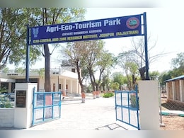 Jodhpur News: काजरी ने विकसित किया 8 हेक्टेयर भूमि में 'एग्री-इक्को टूरिज्म पार्क' सैलानियों को कर रहा आकर्षित