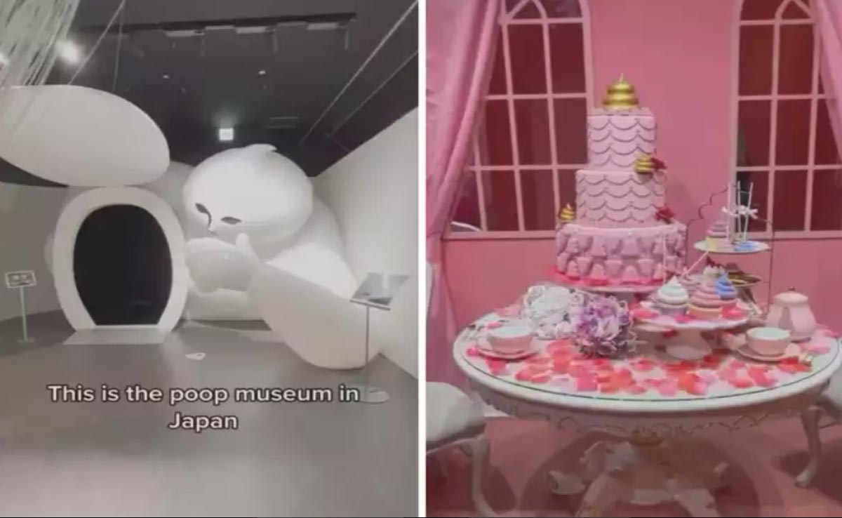 दुनिया का सबसे अनोखा म्यूजियम, जापान के Poop Museum ने इंटरनेट पर मचाया तहलका, देखें VIDEO